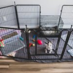 Alternatives to Crate Training: Effective Methods for Dogs