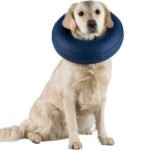 Alternatives to the Elizabethan Collar: Top Dog Solutions