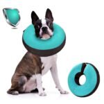 Alternatives to Dog Cones: Top Vet-Recommended Options