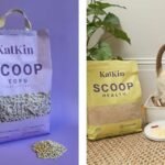 Alternatives to Litter: Eco-Friendly & Affordable Cat Solutions