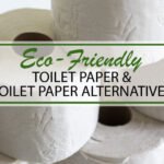 Alternatives to Toilet Paper: Eco-Friendly and Sustainable Options