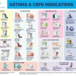 Alternatives to Trelegy Inhaler: COPD Treatment Options